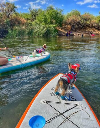NoSnow Stand Up Paddleboards