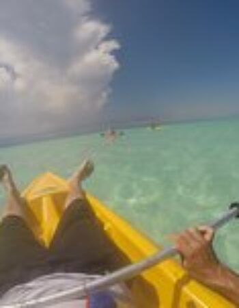 Red Line rentals & Sales