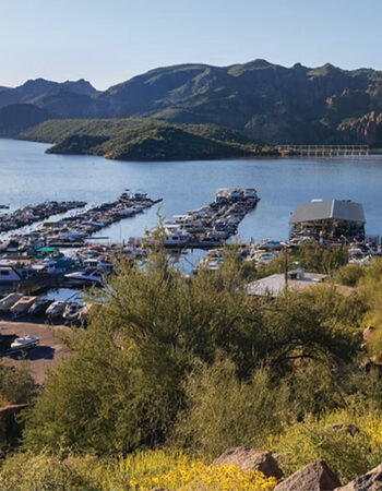Saguaro Lake Marina