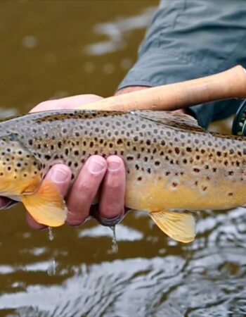 Kelly Outfitters at Lees Ferry
