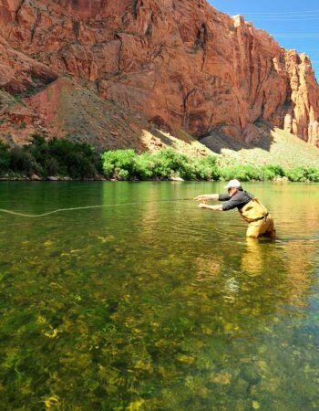 Lees Ferry Anglers Fly Shop and Guide Service